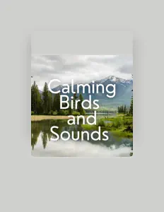 Listen to Breathing Space: 24/7 Calming Music, watch music videos, read bio, see tour dates & more!