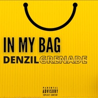 In My Bag - Single - Denzil Grenade