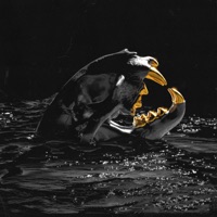 JUICE N°12 - Jeune Ras