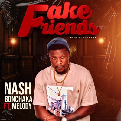 Fake Friends (feat. Mellody) - Single