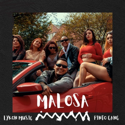 Malosa (feat. Pinto gang) - Single