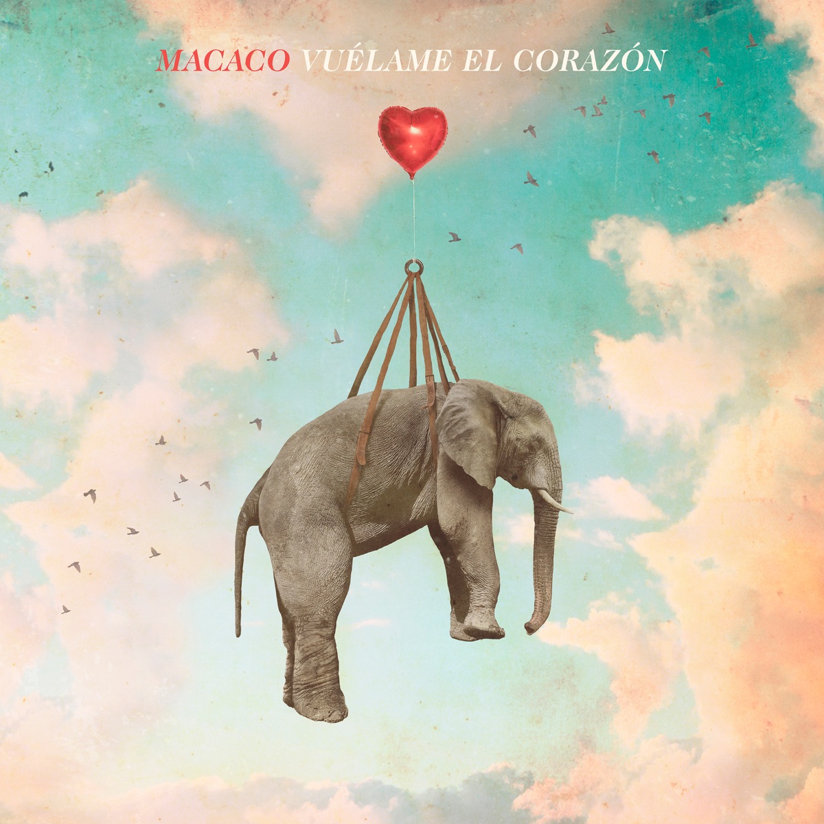 Puerto Presente (Deluxe Versión) de Macaco en Apple Music