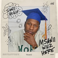 Sanii High - Single - Msanii