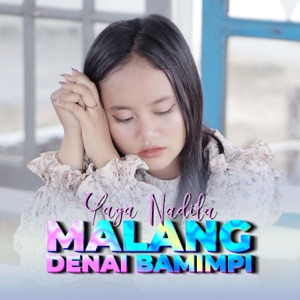 Malang Denai Bamimpi Album Art