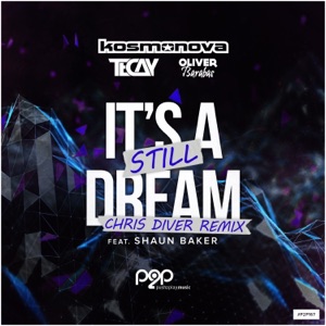 It's Still A Dream (Chris Diver Remix) - Single