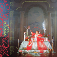 Neonljusen - Sara Parkman Cover Art