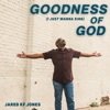 Goodness of God (I Just Wanna Sing) - Single