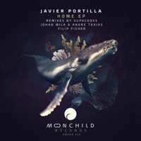 Home (Filip Fisher Remix) - Single - Javier Portilla