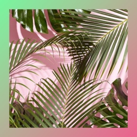 Kompany Deesick & OBT