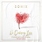 No Ordinary Love (Sj Radio Edit) [feat. Patrice Isley & Jean Sandoval] artwork