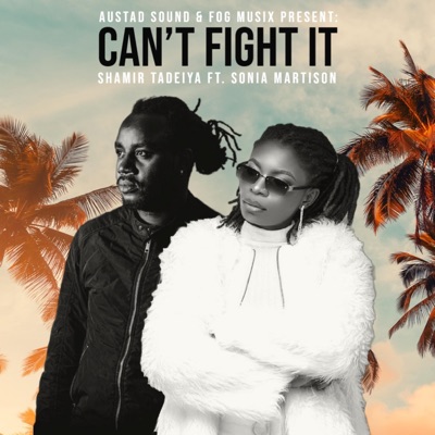 Can't Fight It (feat. Sonia Martison & Austad Sound) - Single