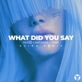 What Did You Say (AVIRA Remix) artwork