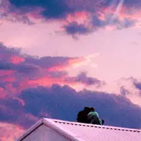 FAUX DEPART — BOOSTEE