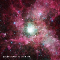 Fin (feat. SLNT) - Single - Gedaman Sofaking