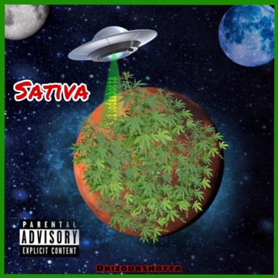 Drizodashotta Sativa - Single