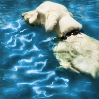 Airtime - Single - Xzavier Stone