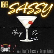 NEVER SASSY - Radio Edit