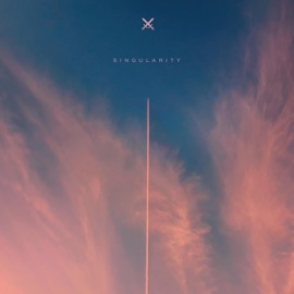 Singularity (feat. Adam Dodson, Hereafter, Jason Keisling & Sidus) The Post-Everything Collective