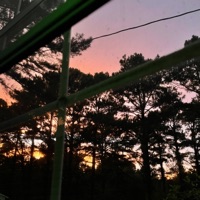 Backseat - Single - funeral