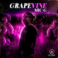 Grapevine - Single - Mic-G