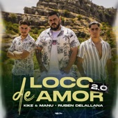 Loco de Amor 2.0 artwork