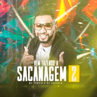 Vem Fazendo a Sacanagem 2 - Single - MC Poneis
