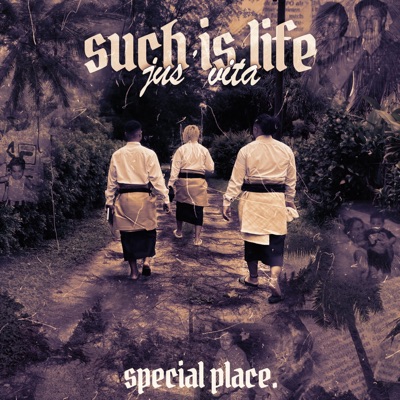 Special Place - Single