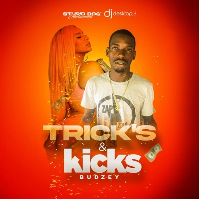 Tricks & Kicks (feat. Dj Desktop) - Single