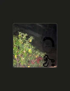 Listen to p90shotgun, watch music videos, read bio, see tour dates & more!