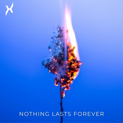 Nothing Lasts Forever (feat. AMORTAL) - Single