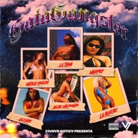 GATA GANGSTER - Single - CHRIZ