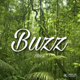 Buzz Slace