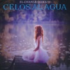 Celos al agua - Single