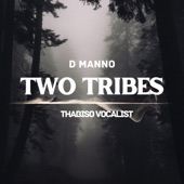 Two Tribes (feat. Thabiso vocalist) artwork