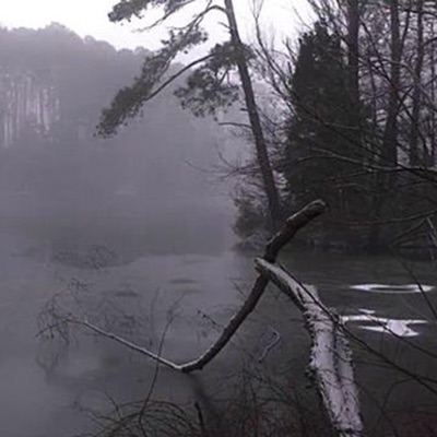 Mirror Demo - Single