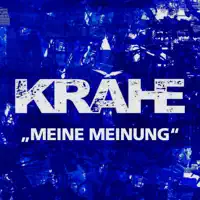 Meine Meinung — Krähe