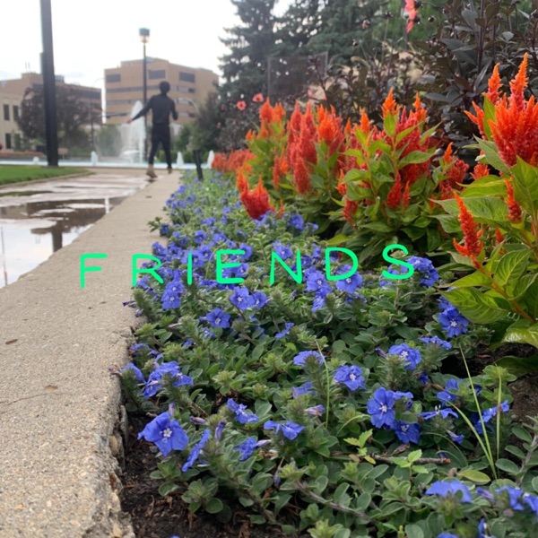 Friends (Radio Edit)