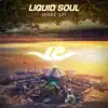 Liquid Soul - Wake Up