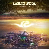 Wake Up — Liquid Soul