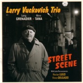 Larry Grenadier - Street Scene
