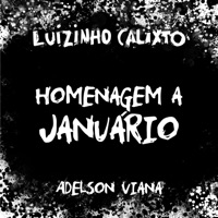 Homenagem a Januário (feat. Adelson Viana) - Single - Luizinho Calixto