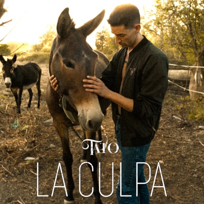 La Culpa - Single