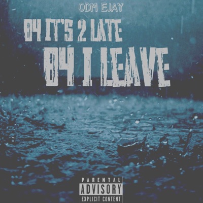 B4 its 2 late B4 I leave - Single