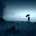 The Fog
