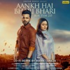 Aankh Hai Bhari Bhari Aur Tum 2.0 (feat. Rashami Desai) [Lo Fi Remix] - Single