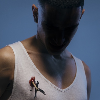 Higher Love - Single