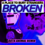 Broken (Data Animal Remix) - Single