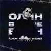 Один в поле воин (Adam Maniac Remix) - Single