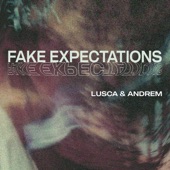 Fake Expectations (Undefined Pattern Remix) artwork
