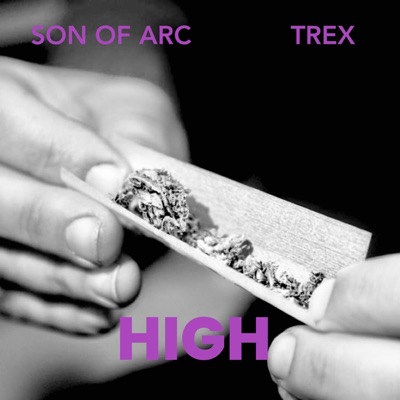 HIGH (feat. Trex) - Single